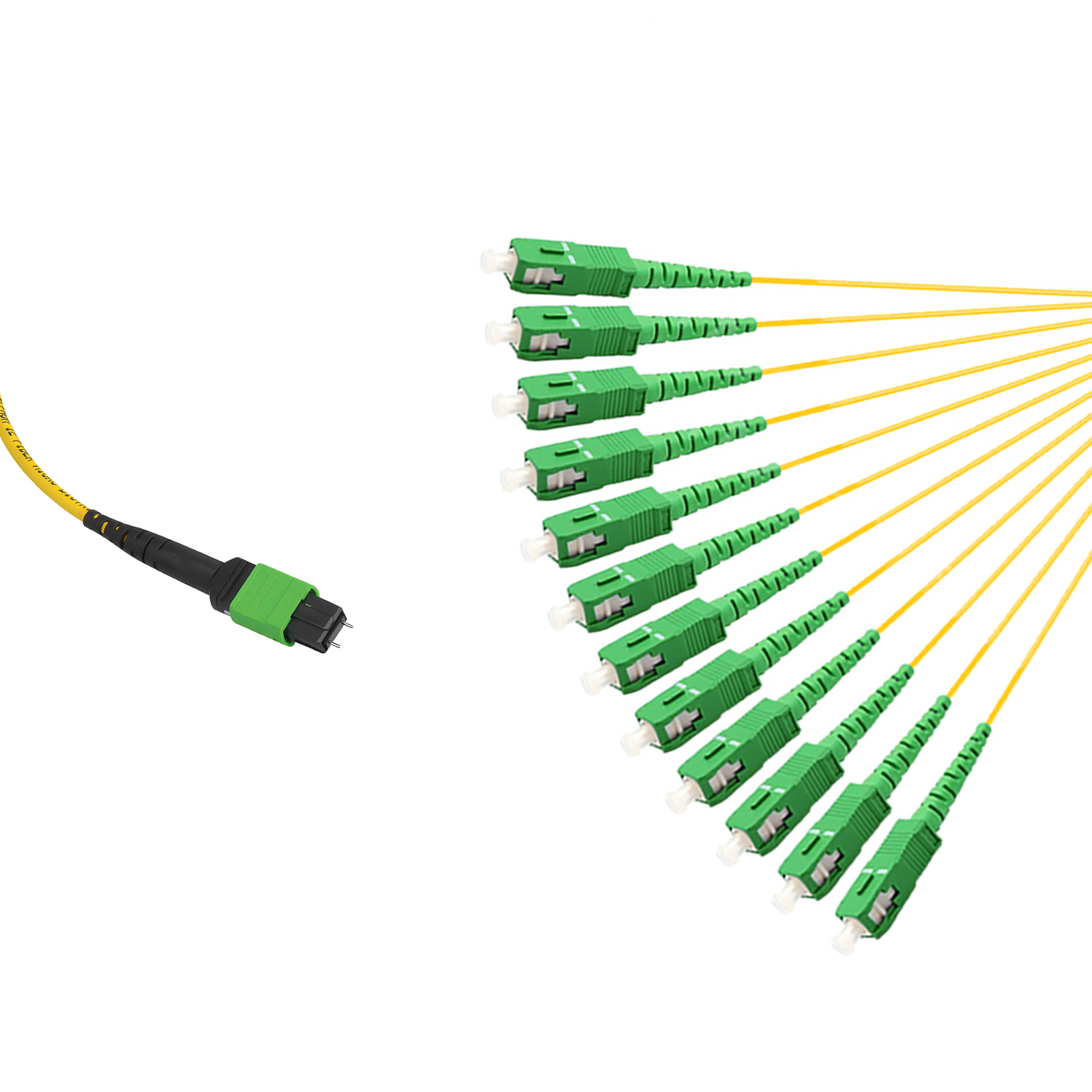 12-fiber MTP12 to 12 SC simplex APC transition harness
